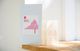 swisscan �ѥå�15��ʬ