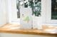 swisscan �ѥå�15��ʬ