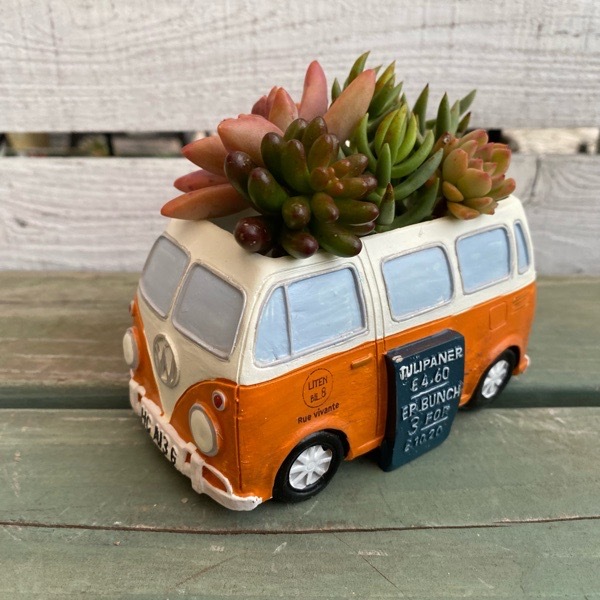 1800円花束レインボー黄アンティーク雑貨カントリー多肉植物好き