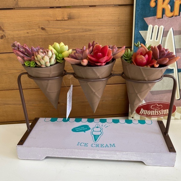 カントリー雑貨,プランター | グリングリン