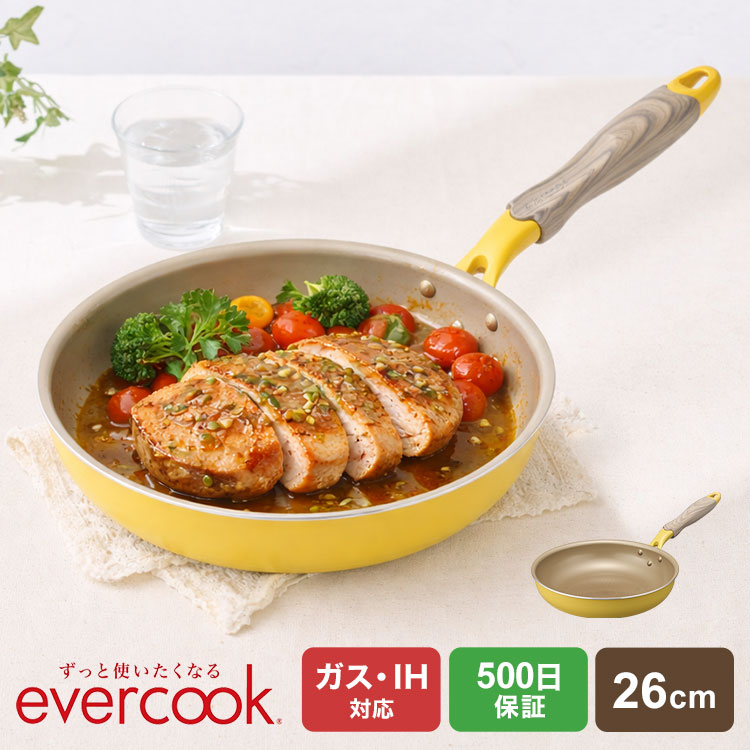 evercook fit ガス火専用 着脱式 6点セット 15周年限定デザイン