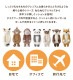 背中ツボ押しクッション | ブランド別,L,りぶはあと,プレミアムねむねむアニマルズ | hauhau