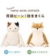 背筋ピーン抱きまくら | アイテム別,ホビー,ぬいぐるみ | hauhau