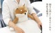 背筋ピーン抱きまくら | アイテム別,ホビー,ぬいぐるみ | hauhau