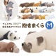 抱きまくら M | アイテム別,ホビー,ぬいぐるみ | hauhau