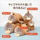 座り抱きまくら M | アイテム別,ホビー,ぬいぐるみ | hauhau