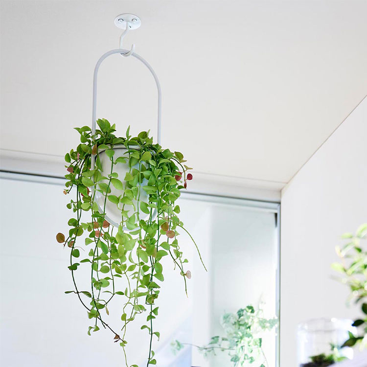 アールガラス！ 吊り下げフック付き　飾り棚 アクリル引き戸付き飾り棚 ウォールシェルフ フック6本付き 壁面に