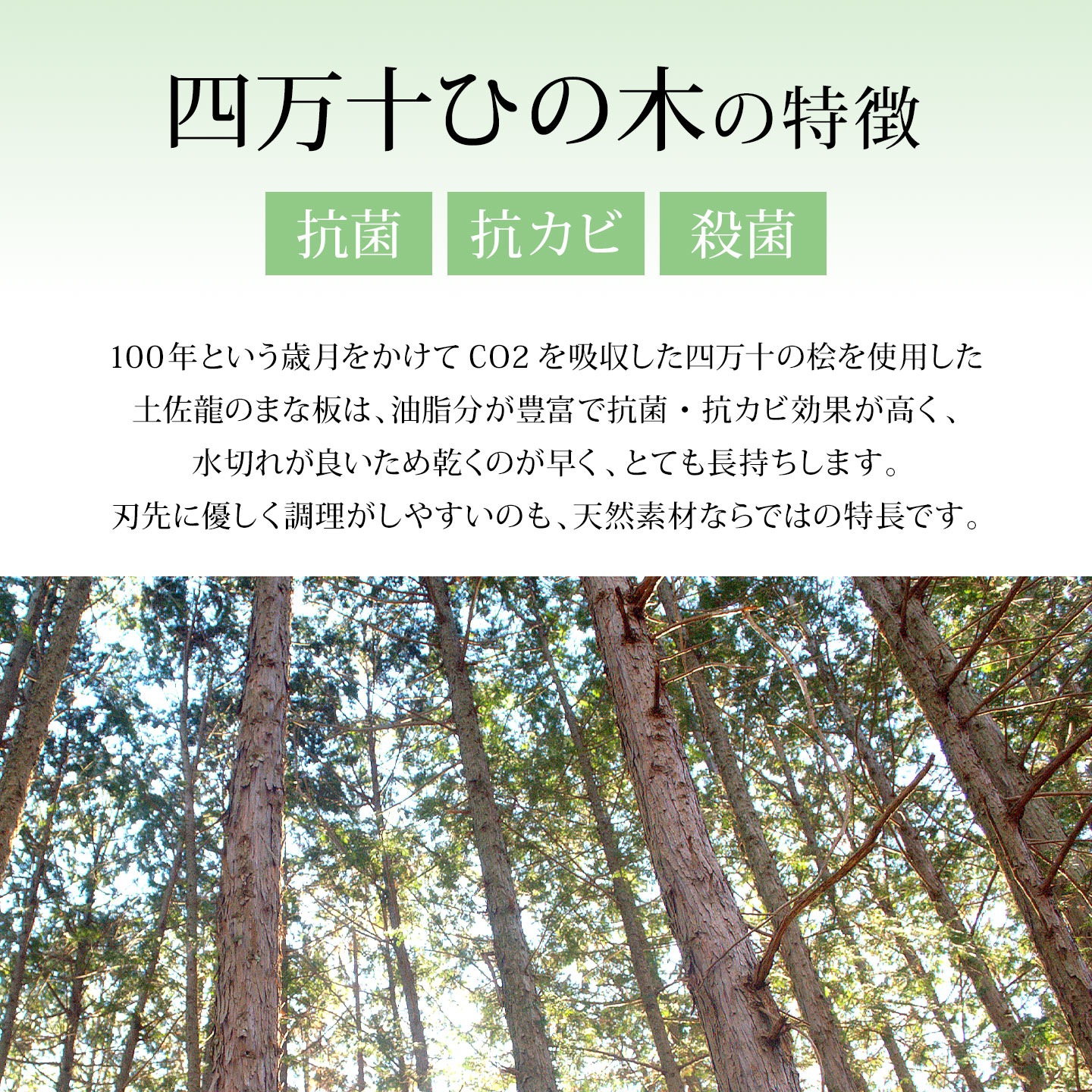 HANAKO 四万十ひのきD型まな板 大きいサイズ ｜hauhau（ハウハウ