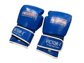 アイテム別商品,グローブ,スパーリンググローブ | GRIT FIGHT SHOP