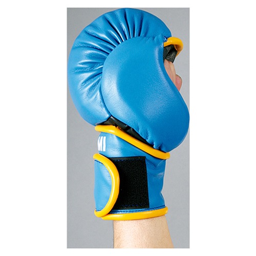 IS-756���ѥ���ɥ�������