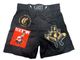 GRIT��LUTADOR 2507 LOGO HISTORY FIGHT SHORTS �ե����ȥ��硼�� MMA���硼��