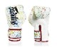 Fairtex Boxing Gloves BGV14PT Painter