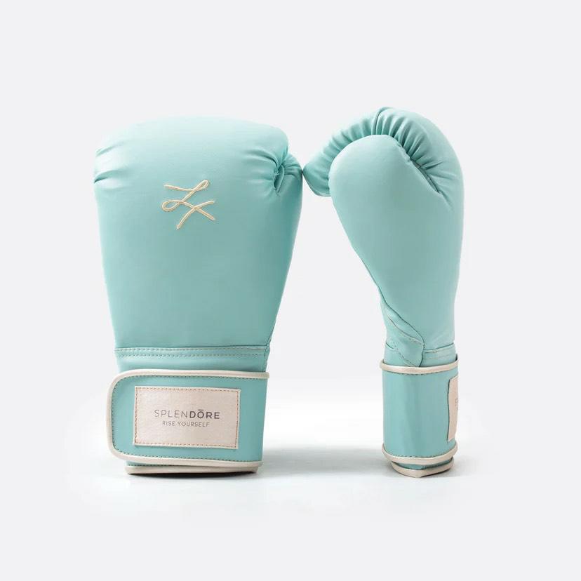 SPLENDORE BOXING GLOVES NEW YORK