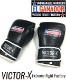 EL GANADOR VELCRO TYPE BOXING GLOVE(VICTOR )