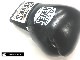REYES Professional Boxing Gloves