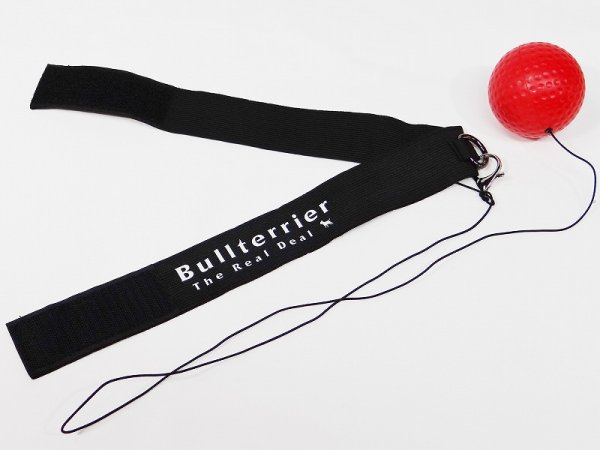 BULL TERRIER���ܥ����󥰥ѥ���󥰥�ե�å����ܡ��� [bj-890]