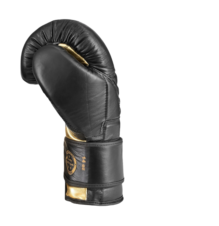 JOYA KICKBOXING GLOVE 'GOLD FALCON' LEATHER