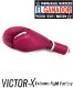 EL GANADOR VELCRO TYPE BOXING GLOVE PNK(VICTOR )