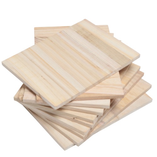 SS-100  ������ 10�祻�å�