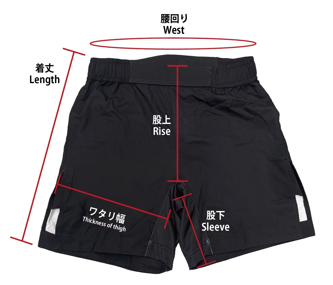 GRIT��LUTADOR 2312 GRADATION FIGHT SHORTS �ե����ȥ��硼�� MMA���硼��