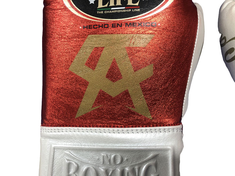 NO BOXING NO LIFE BOXING GLOVE Canelo Edition  Х쥹 ܥ󥰥