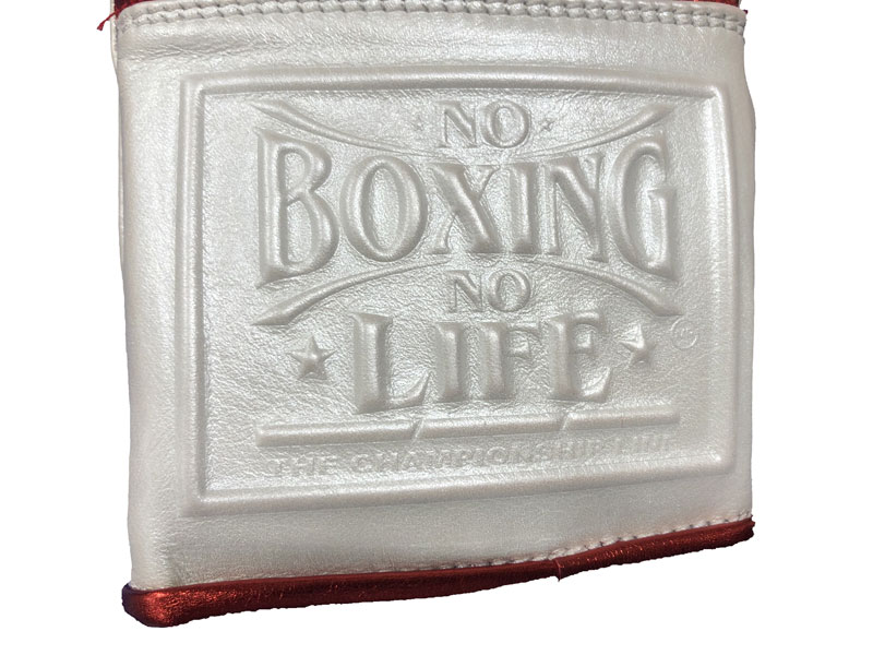 NO BOXING NO LIFE BOXING GLOVE Canelo Edition  Х쥹 ܥ󥰥