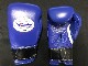 JABFܥܥϢǧѥ  WINNING BOXING GLOVES BLUE