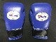 JABFܥܥϢǧѥ  WINNING BOXING GLOVES BLUE