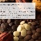ECŹ޸꾦ʡ ٥塼 祳졼 500ʥ/ߥ륯/ۥ磻ȡˡڼ󤲻դ