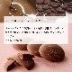 ECŹ޸꾦ʡ ٥塼 祳졼 500ʥ/ߥ륯/ۥ磻ȡˡڼ󤲻դ