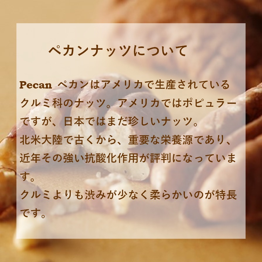 䡦 ϶Ⱥץå ̵(ϰ)ۡڥΥ٥ƥդۡP34ܡ