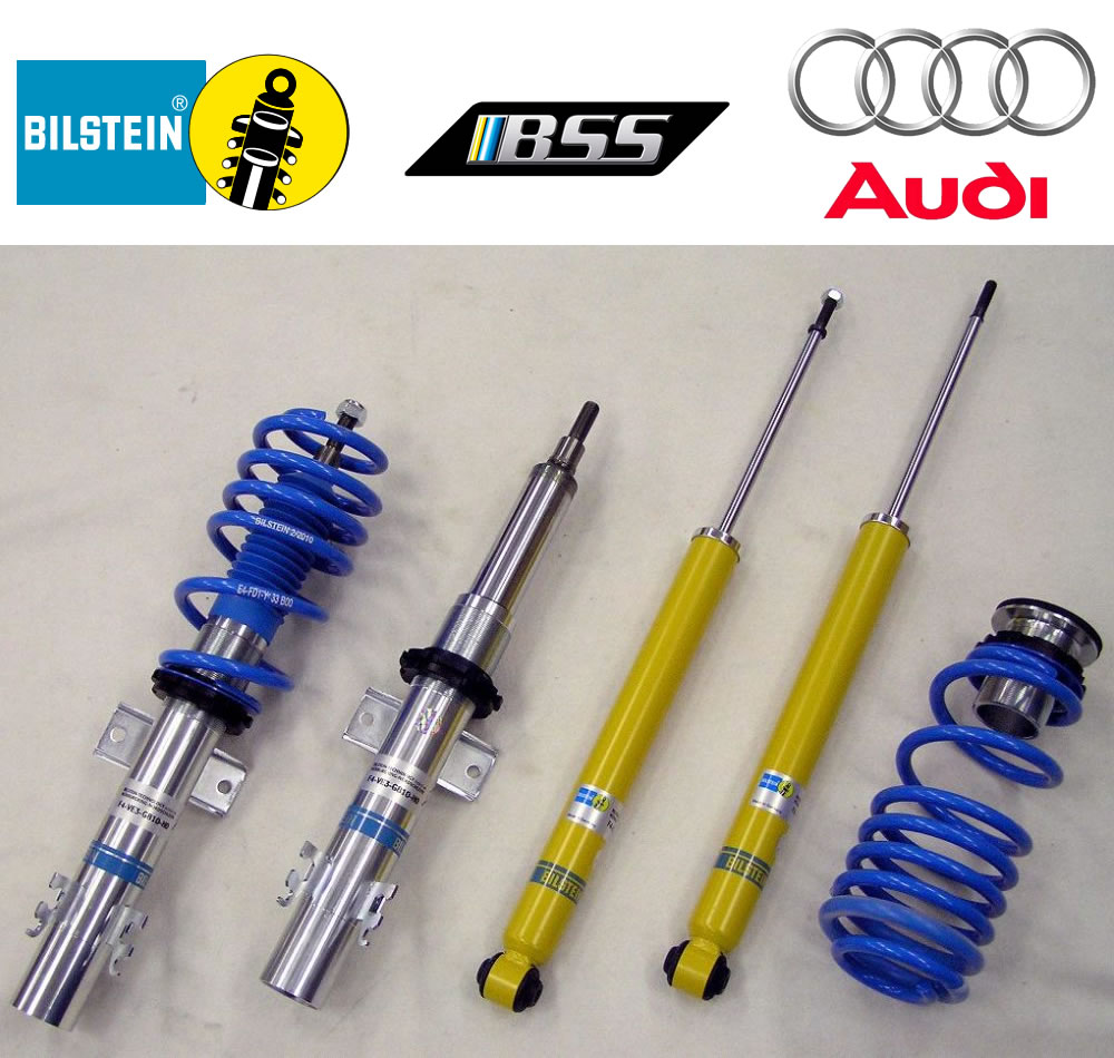 ビルシュタイン車高調 B14 BSS8047【BILSTEIN B14 BSS-KIT
