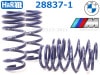 ��H&R Sport Springs��H&R ���ݡ��ĥ��ץ�� 28837-1��BMW 6���꡼�� ���֥ꥪ�� F12 & ������ F13 M6��28837-1�ۡ�����̵������Ź��ô��