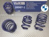 H&R Sport Springsۥݡĥץ󥰡BMW Z꡼ Z4 E89 sDrive 20i / 23i / 35i / 35is28987-1̵ۡŹô