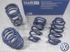 ��H&R Sport Springs��H&R ���ݡ��ĥ��ץ�� 29321-1�åե��륯������� �ѥ����� 3B W8 4�⡼����� ��������若���Volkswagen Passat B5�ۡ�29321-1�ۡ�����̵������Ź��ô��