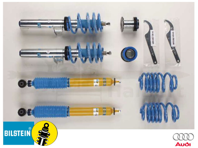 ビルシュタイン 車高調 B16 48-252355【BILSTEIN B16 PSS-KIT