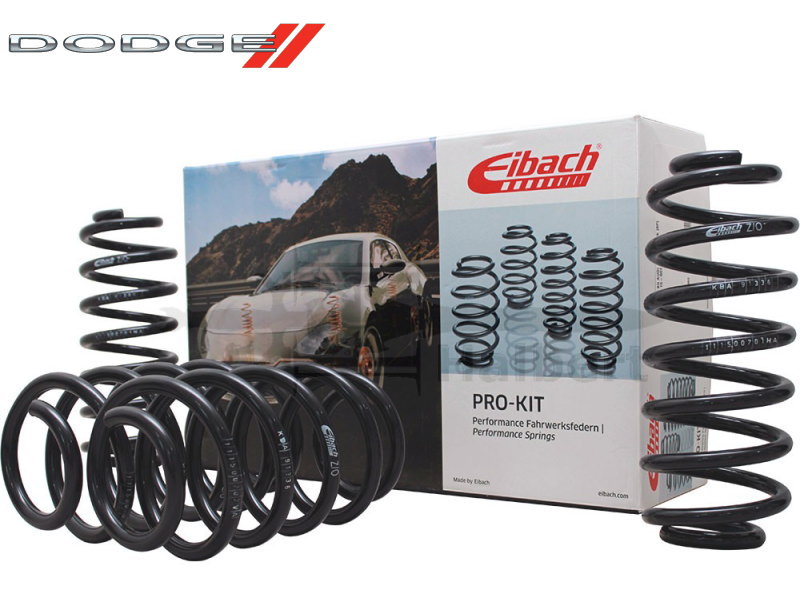 Eibach アイバッハ ダウンサススプリング　　　　 PRO-KIT 送料無料 アイバッハ ダウンサス 10-79-010-02-22【正規輸入品