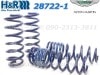 ��H&R Sport Springs��H��R ���ݡ��ĥ��ץ�� 28722-1�å����ȥ�ޡ��ƥ��� DB11 ������ V12��ASTON MARTIN DB11 Coupe AM5�ۡ�28722-1�ۡ�����̵������Ź��ô��
