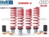 ��H&R Height adjustable springs 23005-1�ۼֹ�Ĵ����ǽ�ե����㥹�ȥ��ץ�󥰡å����ǥ� R8 V10 & V10 �ץ饹 ������ 4S��Audi R8�ۡ�23005-1�ۡ�����̵������Ź��ô��