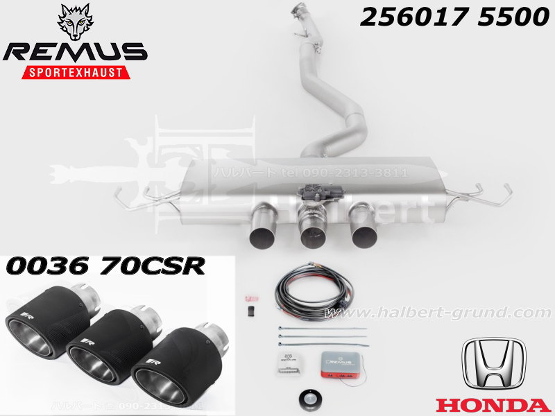 REMUS マフラー 本体 デュアルテール レムス マフラー 256017 5500STE + 0036 70CS【正規輸入品】REMUS CAT