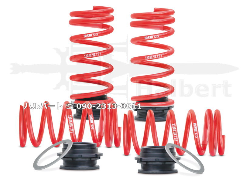 H&R アジャストスプリング 23002-4【H&R Height adjustable springs