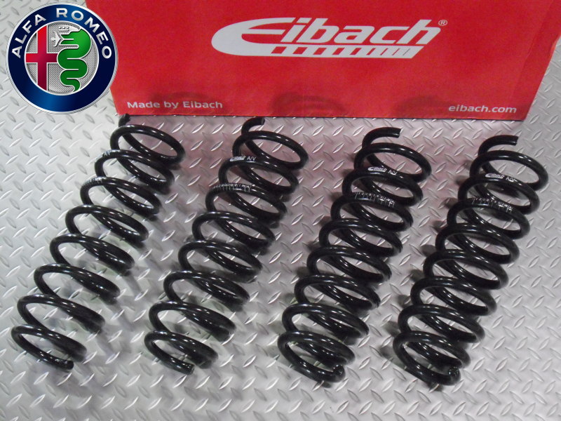 アイバッハ スプリング 10-10-013-02-22 正規輸入品【Eibach PRO