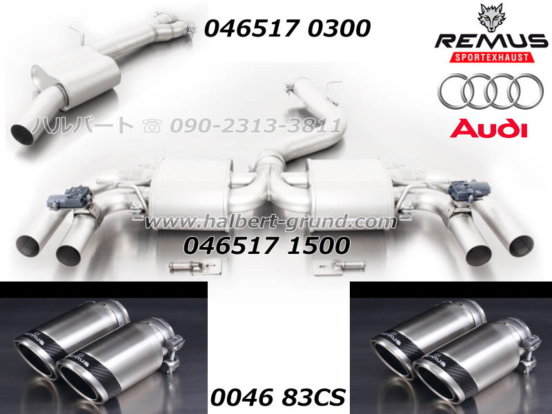 レムス マフラー 046517 0300 + 046517 1500+ 0046 83C【正規輸入品