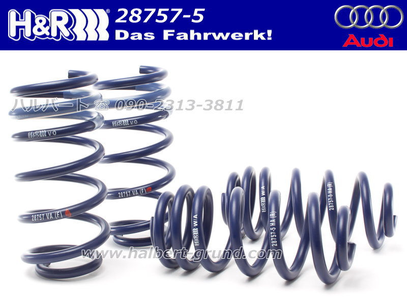 H&R ダウンサス 28757-5【H&R Sport Springs】スポーツ