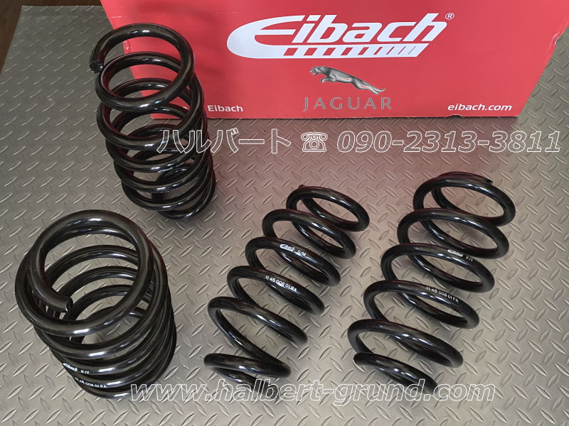 アイバッハ スプリング 10-45-008-01-22【正規輸入品】Eibach PRO-KIT