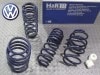 ��H&R Sport Springs��H&R ���ݡ��ĥ��ץ�� 28840-2�åե��륯������� �����7 GTI TCR��Volkswagen Golf ���ۡ�28840-2�ۡ�����̵������Ź��ô��