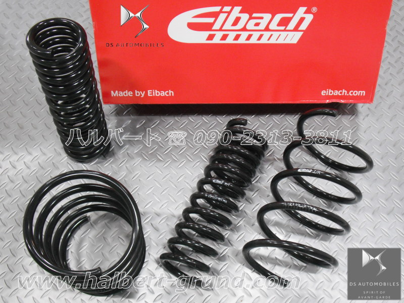 Eibach PRO-KIT ダウンサススプリング アイバッハ ダウンサス 10-22-020-01-22【正規輸入品】Eibach