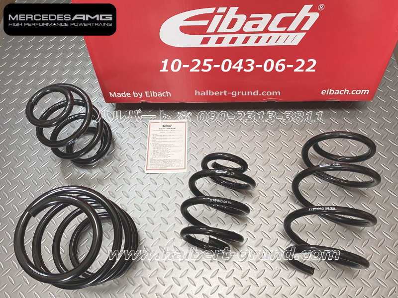 Eibach アイバッハ ダウンサススプリング　　　　 PRO-KIT Eibach （アイバッハ）PRO-KIT ローダウンスプリング G02 X4