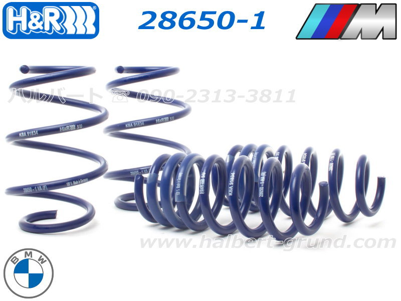 H&R ダウンサス 28650-1【H&R Sport Springs】スポーツ