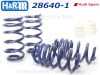 ��H&R Sport Springs�ۥ��ݡ��ĥ��ץ�󥰡å����ǥ� RS7 ���ݡ��ĥХå� F2��Audi RS7 Sportback�ۡ�28640-1�ۡ�����̵������Ź��ô��